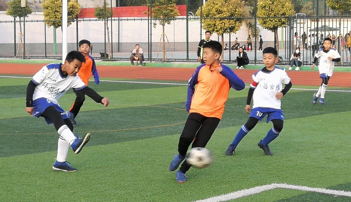 在哈維的4 在哈維的4