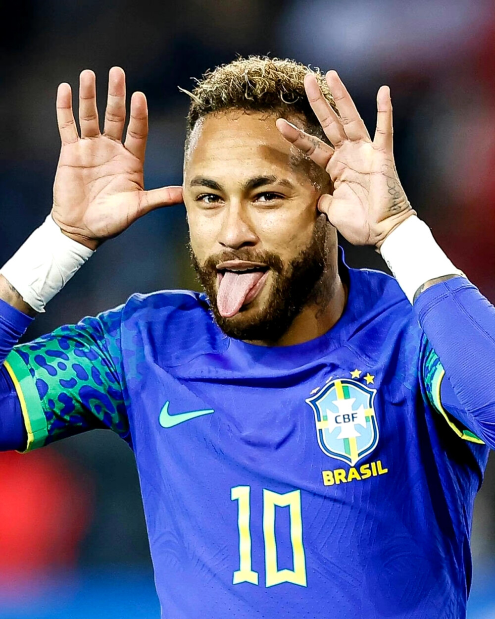 长期关注的 长期关注的