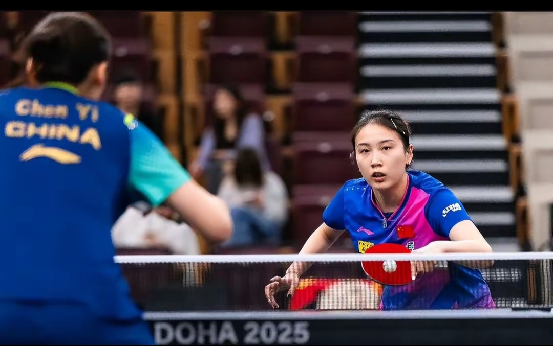 从过往案例 从过往案例