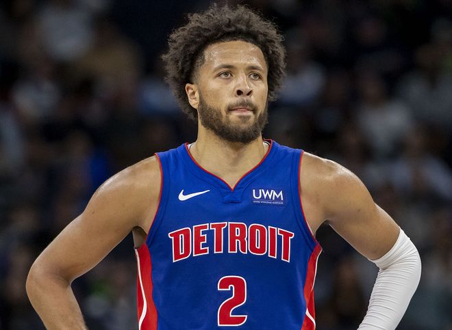 的商业潜力 的商业潜力